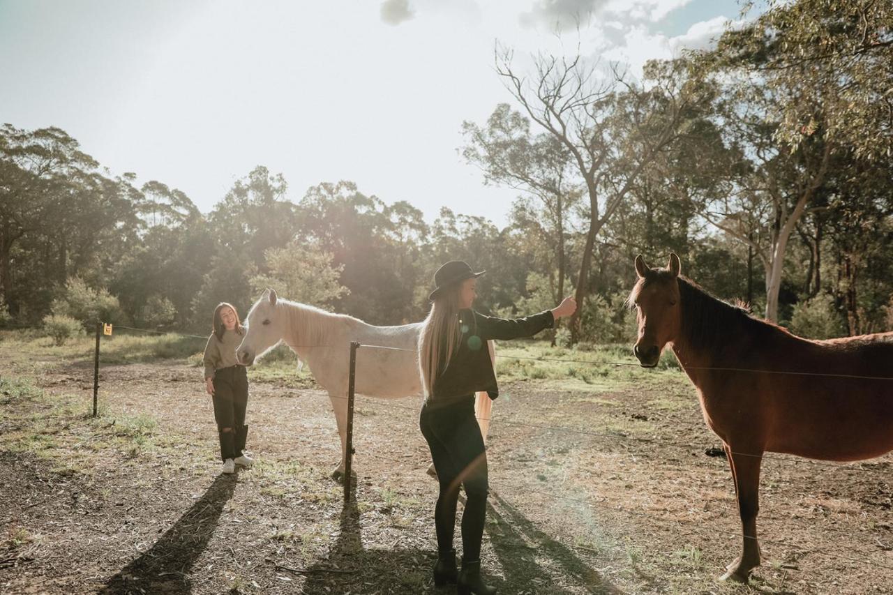 Hunter Valley Retreat Quorrobolong エクステリア 写真