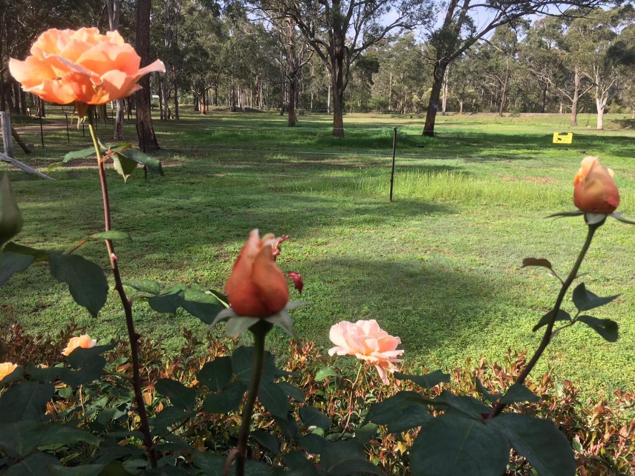 Hunter Valley Retreat Quorrobolong エクステリア 写真