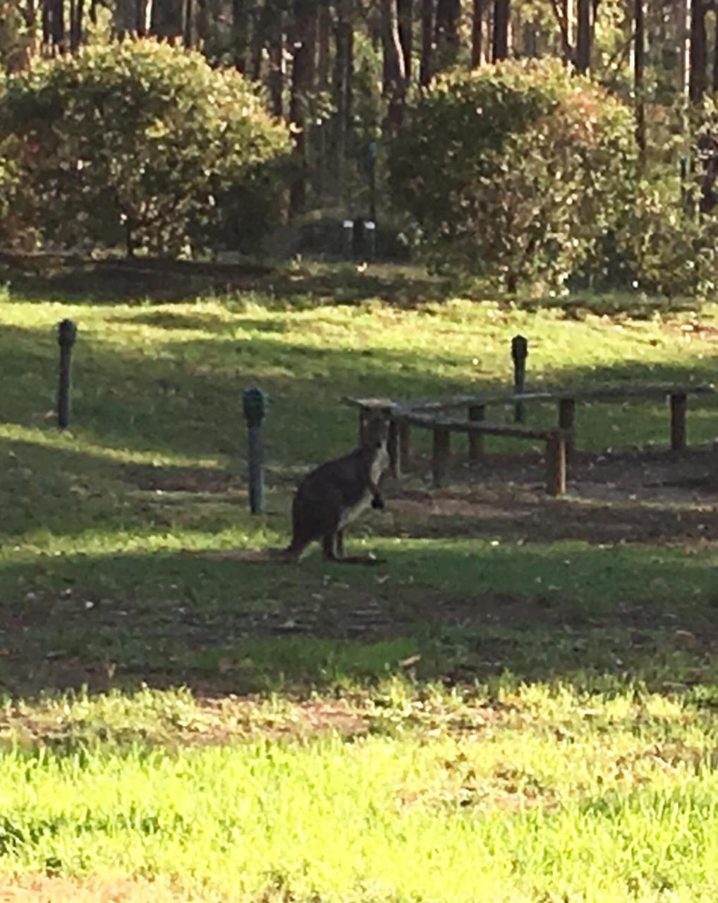 Hunter Valley Retreat Quorrobolong エクステリア 写真
