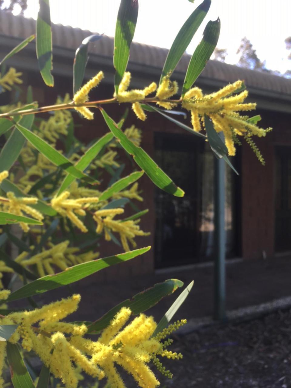 Hunter Valley Retreat Quorrobolong エクステリア 写真